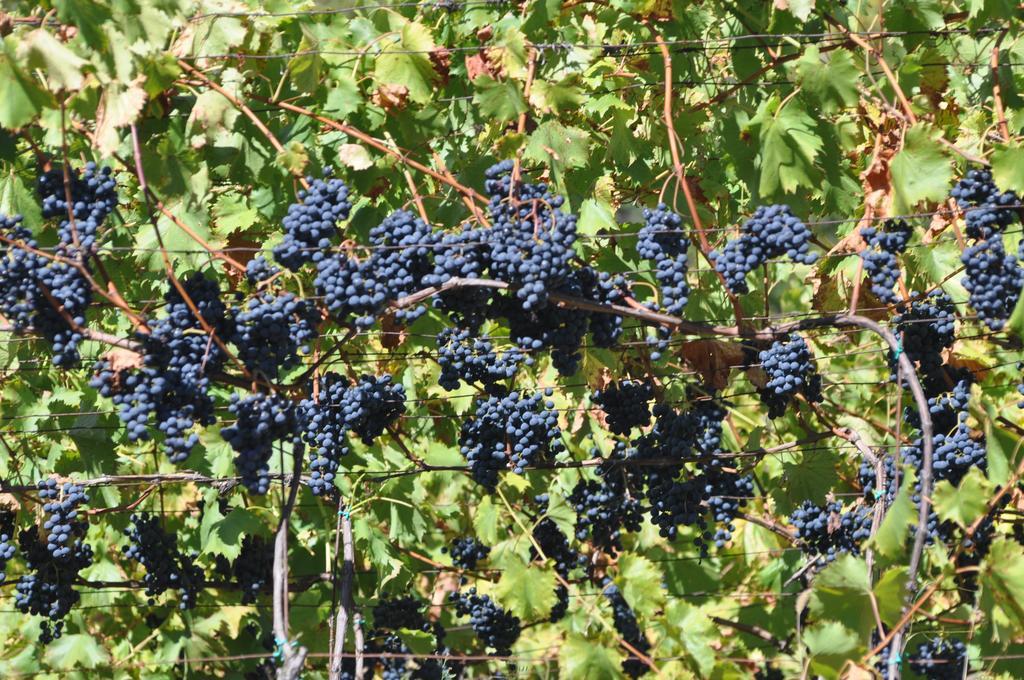 Ausserperskolerhof - Adults Only Fiè Eksteriør bilde